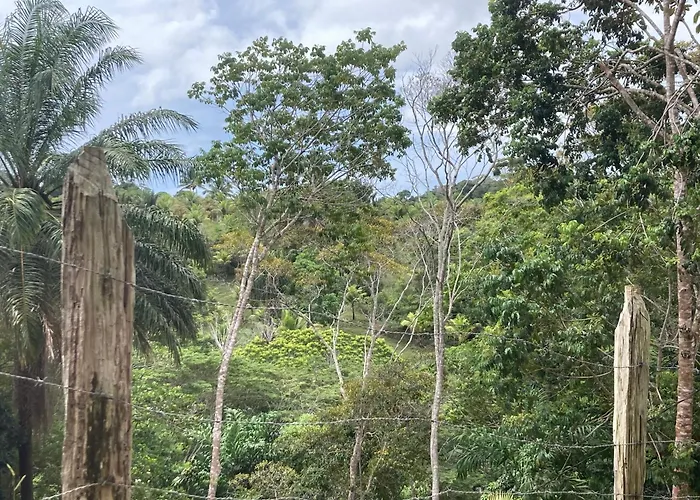 Casa Vila Camboinha - Itacare, Praias Da Engenhoca, Havaizinho & Itacarezinho